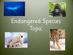 Endangered Species Cross Curricular Topic Planner