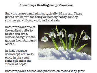 Snowdrops reading comprehension differentiated & wildflower checklist