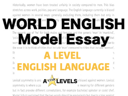 what is world essay