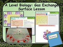 OCR A Level 2015 Biology Spec Introduction to Exchange Surfaces Lesson ...