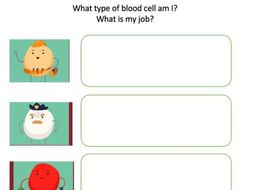 Types of blood cells jobs worksheet | Teaching Resources