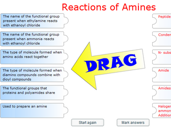Reactions of Amines - Game