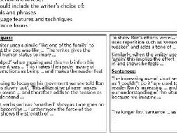 8700 AQA Paper 1 writing frames - animals practice paper