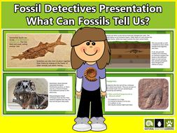 dinosaurs and fossils ks2