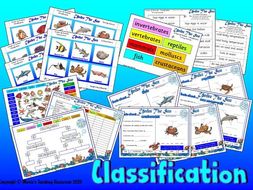 Under The Sea - Animal Classification | Teaching Resources