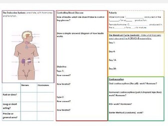 AQA foundation homeostasis revision crib sheet variant