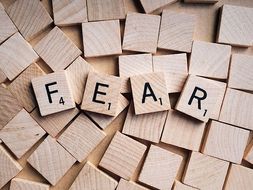 Descriptive essay about fear