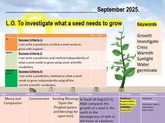 Outstanding Observation Science Lesson Plant Growth
