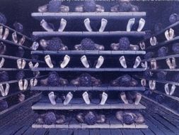 What was the Middle Passage?