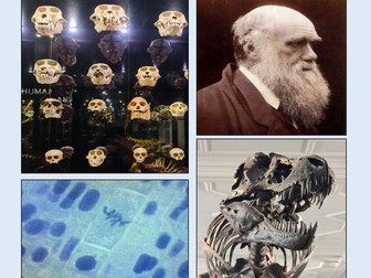 Evolution Lesson GCSE Biology