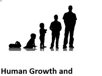 CACHE NCFE CM2 Human Growth and Development