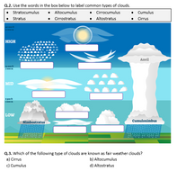 Clouds, Types of Clouds - Worksheet | Distance Learning | Teaching ...
