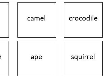Animal Picture and Word Match Activities