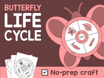Life Cycle of a Butterfly Craft / Butterfly Life Cycle / Bulletin Board Activity