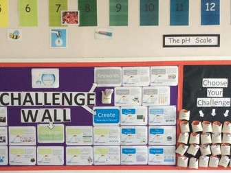 Interactive Challenge Wall Display