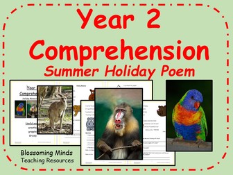 Year 2 end of term summer bundle - maths, comprehension, SPaG, general ...