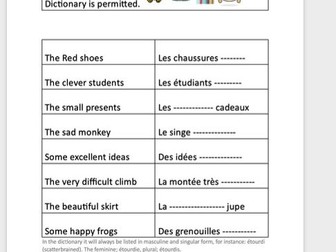 French grammar, Adjectives and their agreements