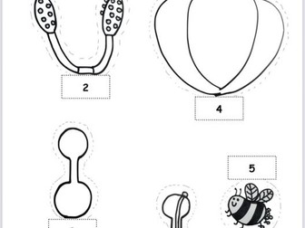 Cut and Stick Flower Dissection + Explanations