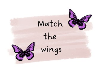 Match the wings