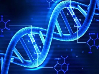 Mendel and DNA