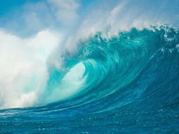 Ocean Unit