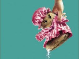 Flour Babies Tasks