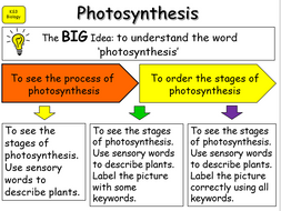 ppt on photosynthesis for class 7