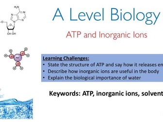 OCR A level Biology - ATP