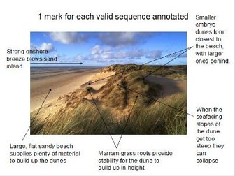 coastal landforms of deposition