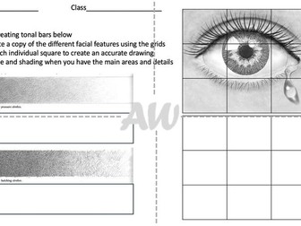 Facial Features Grid Drawings