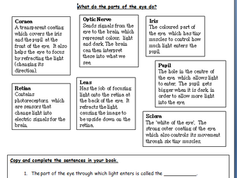 The human eye primary science worksheets
