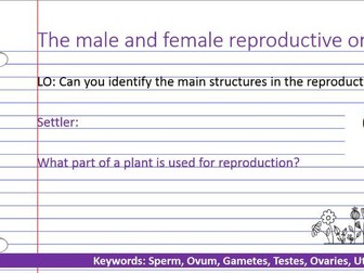 KS3 The male and female reproductive organs