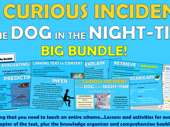 The Curious Incident of the Dog in the Night-time - Big Bundle!