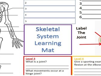 Skeletal System Learning Mat