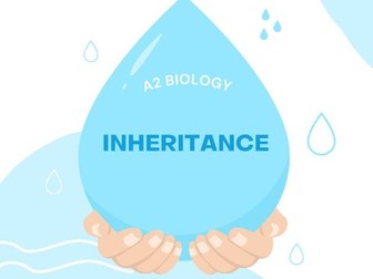 A2 Biology Inheritance
