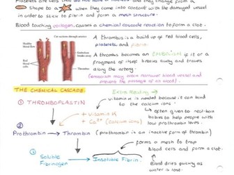 EDEXCEL A LEVEL BIOLOGY UNIT 1 STUDENT NOTES (Salters-Nuffield)