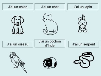 Pets Introduction French