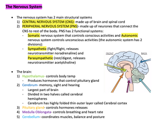 OCR Alevel Biology Module 5 Notes