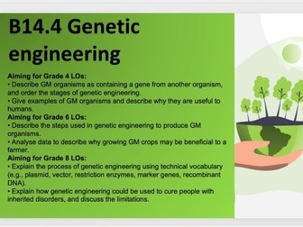 B14.4 Genetic engineering
