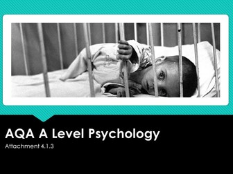 AQA A Level  Psychology Attachment