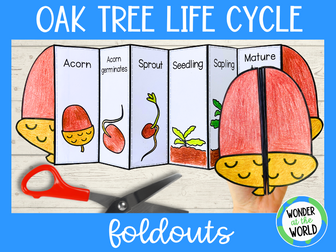 Oak tree life cycle foldable science craft activity