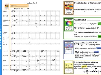 iGCSE (CIE) Set Work Beethoven Bundle (Mvts 1&2)