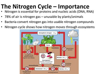 A-Level Biology: Nitrogen & Phosphorus Cycles - Exam Q and As