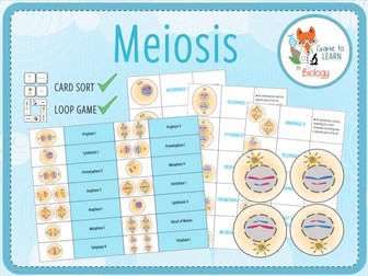 Meiosis - Card Sort and Loop Game (KS4/5)