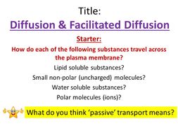Diffusion & Facilitated Diffusion - OCR AS/A Level Biology