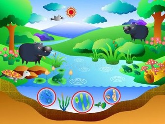 Ecosystem: Abiotic and Biotic factors