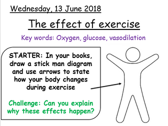 Effect of Exercise