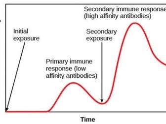 AQA AS Biology 2C Immune System