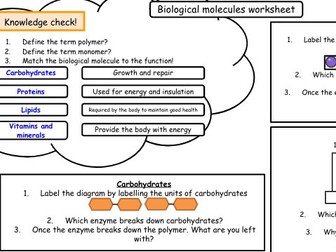 Biological molecules (GCSE)