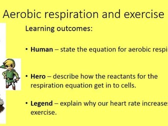 NEW AQA (8461) Aerobic Respiration and Exercise Lesson